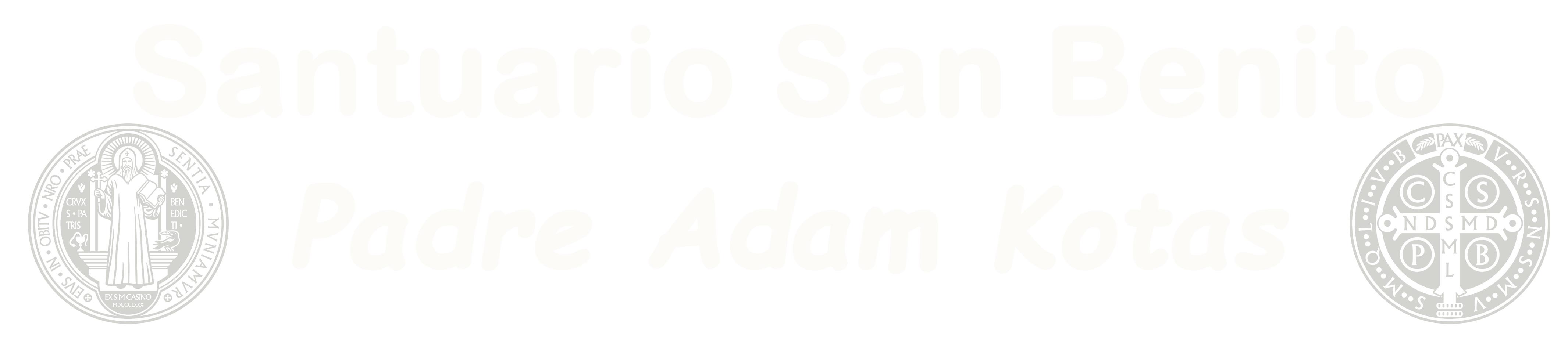 White Logo PNG